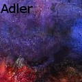 MarneAdler